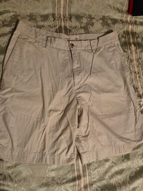 Arrow Men's Tan/Beige Flat-Front Chino Shorts